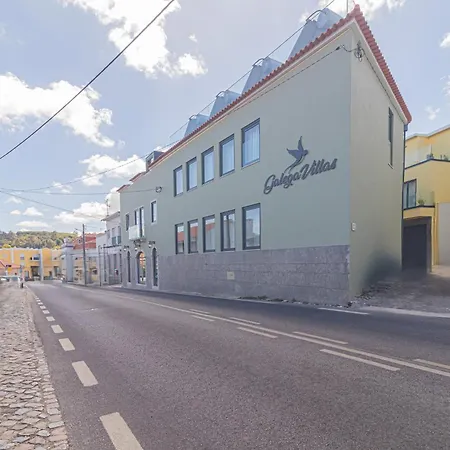 Galega 4*